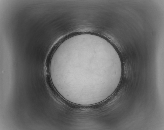 X0000111840584200907231041