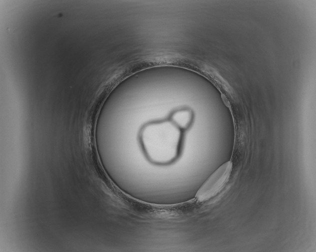 X0000111840585200907231041