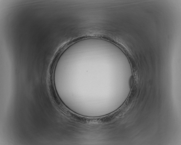 X0000111840587200907231041