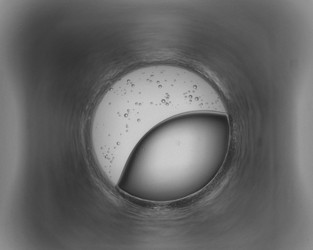 X0000111840589200907231041