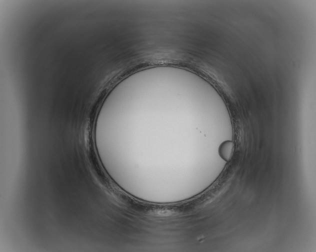 X0000111840590200907231041