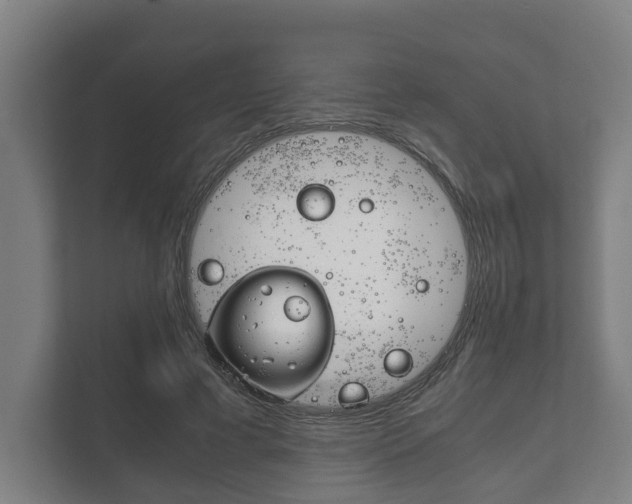 X0000111840593200907231041