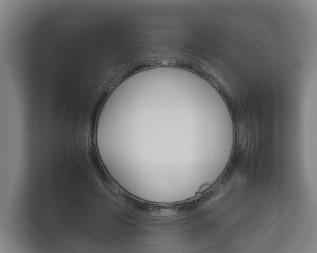 X0000111840594200907231041