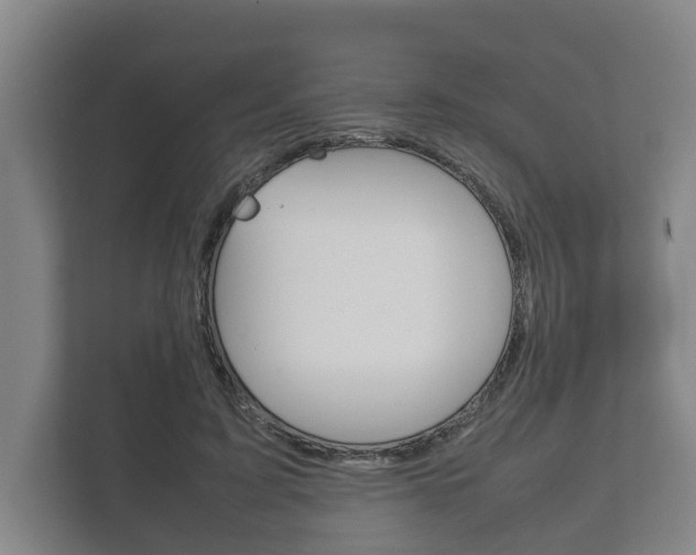 X0000111840595200907231041