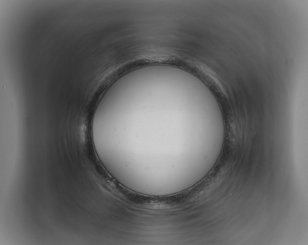 X0000111840596200907231041