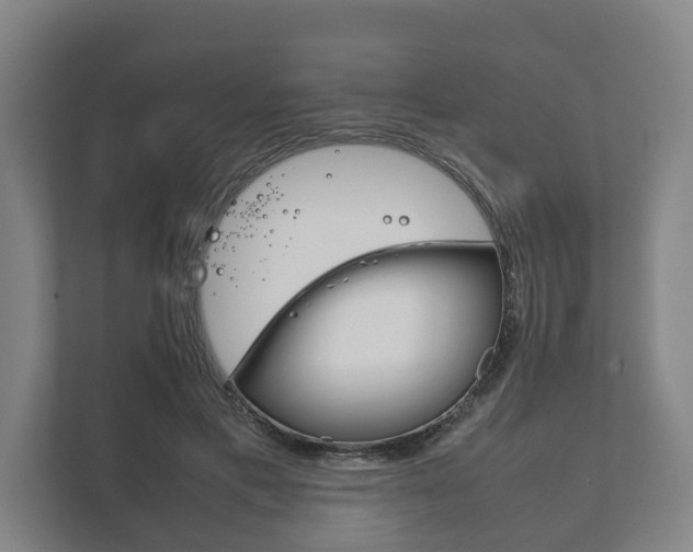 X0000111840597200907231041