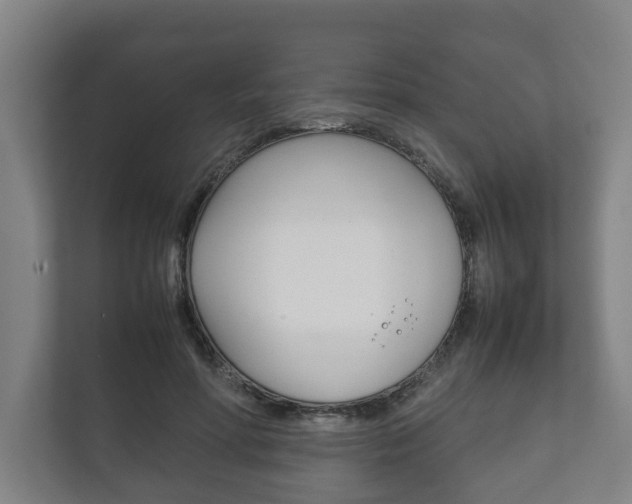 X0000111840598200907231041