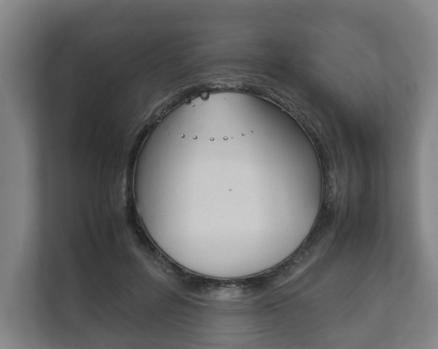 X0000111840600200907231041