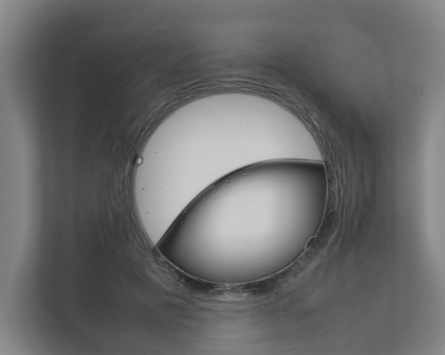 X0000111840601200907231041