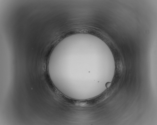 X0000111840602200907231040