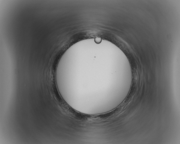 X0000111840603200907231040