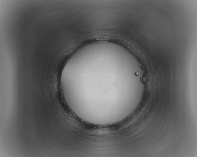 X0000111840604200907231040