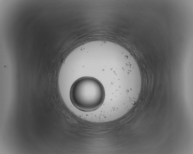 X0000111840609200907231040