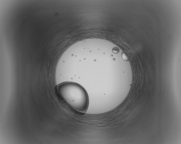 X0000111840611200907231040