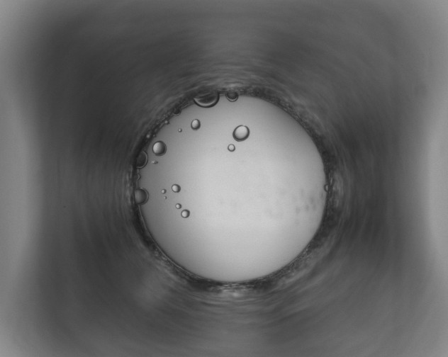 X0000111840612200907231040