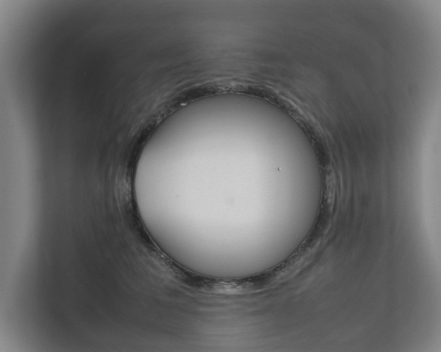 X0000111840613200907231040