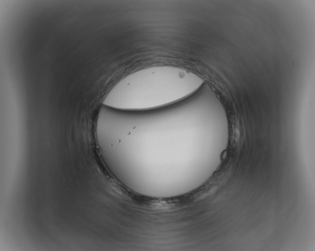 X0000111840616200907231040
