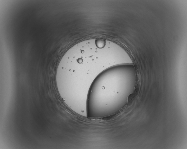 X0000111840617200907231040