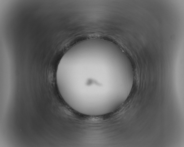 X0000111840619200907231040