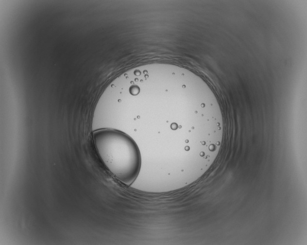 X0000111840621200907231040