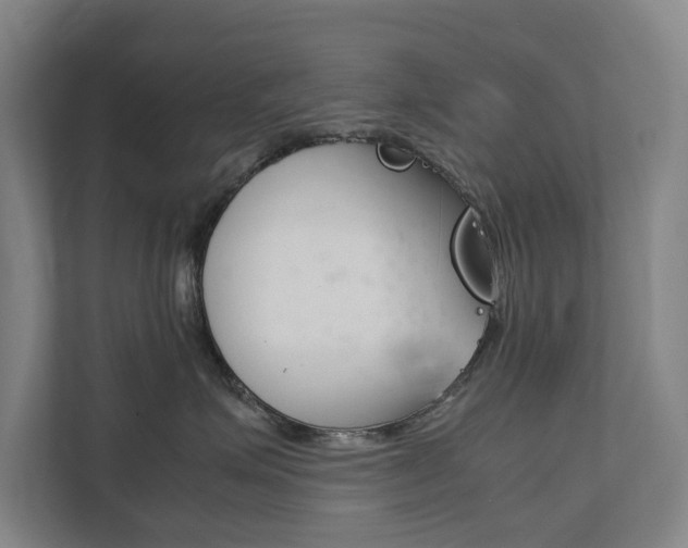 X0000111840623200907231040