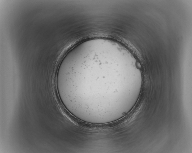 X0000111840625200907231040