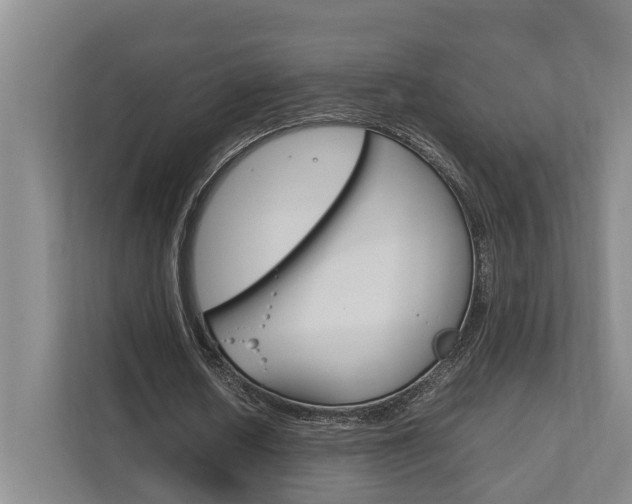 X0000111840626200907231040