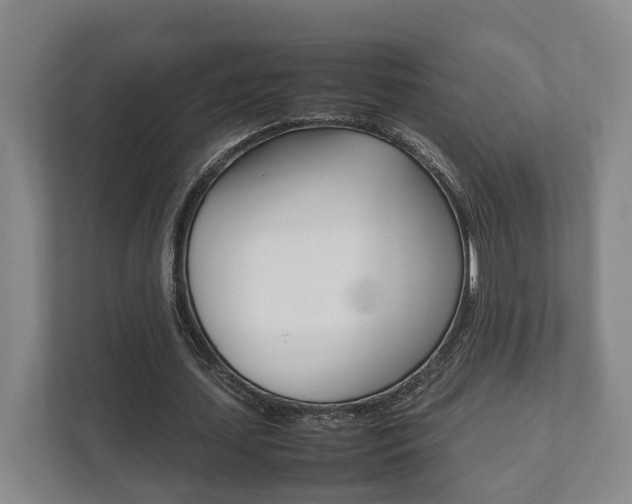 X0000111840627200907231040