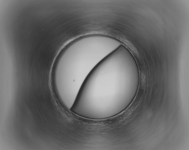 X0000111840628200907231040