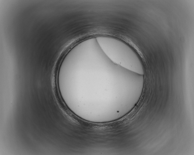 X0000111840629200907231040