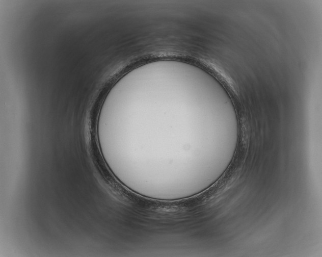 X0000111840631200907231040
