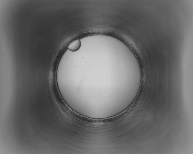 X0000111840636200907231040