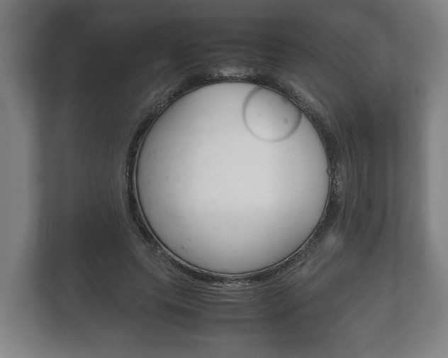 X0000111840639200907231040