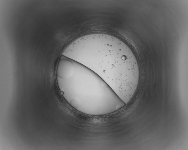 X0000111840641200907231040