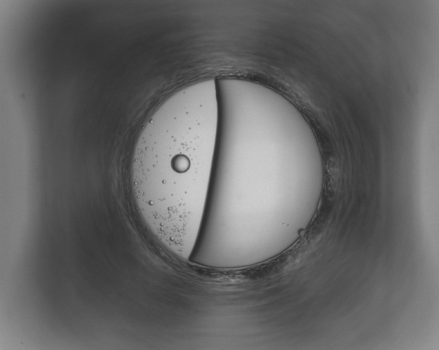 X0000111840642200907231040