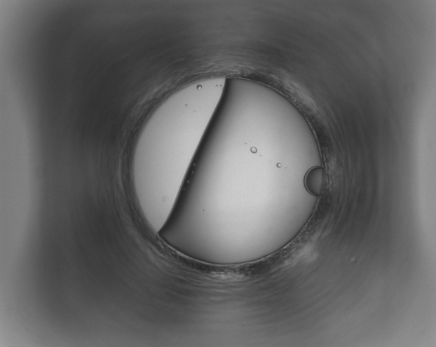 X0000111840644200907231040