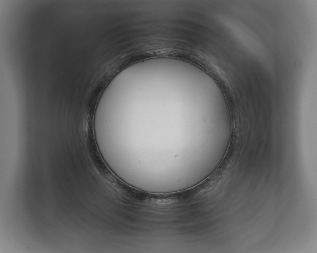 X0000111840645200907231040