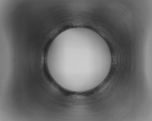 X0000111840648200907231040