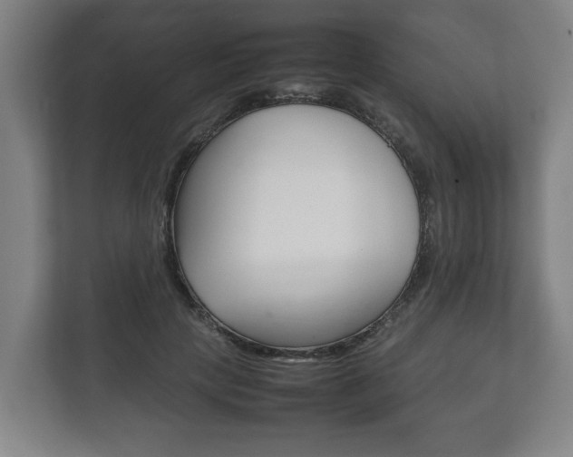 X0000111840649200907231040