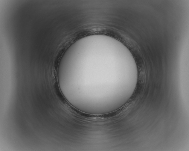 X0000111840654200907231040