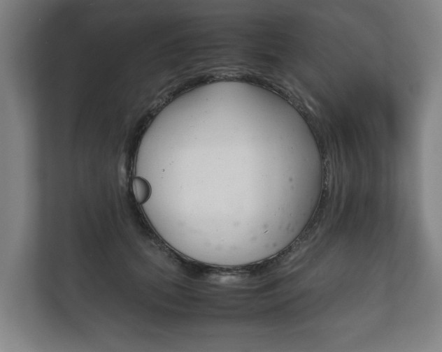 X0000111840655200907231040