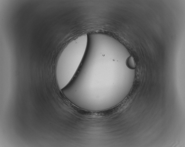 X0000111840656200907231040