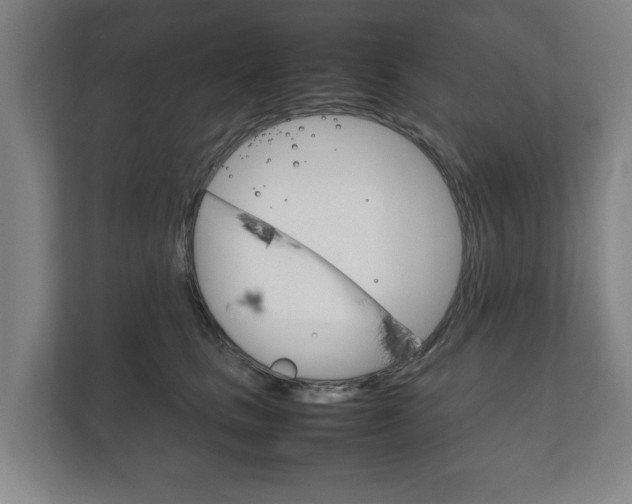 X0000111840661200907231040