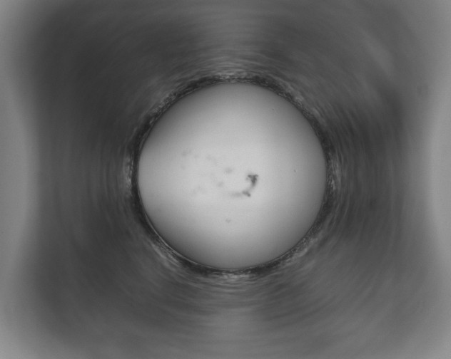 X0000111840664200907231040