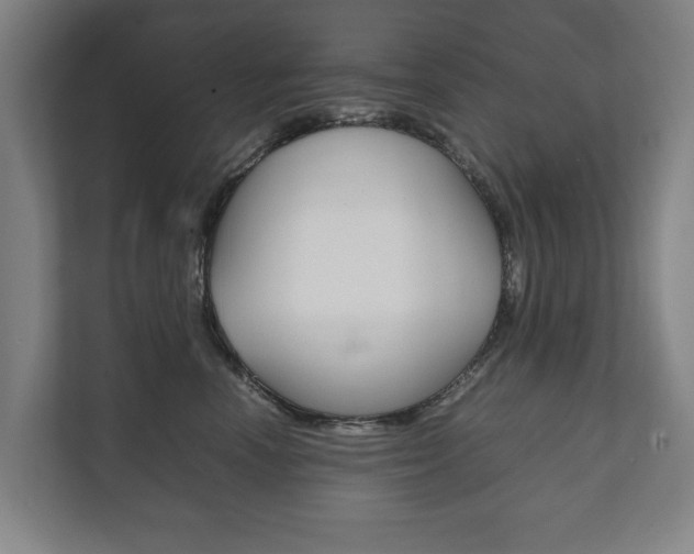X0000111840666200907231040