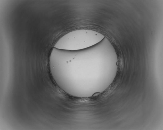 X0000111840668200907231040