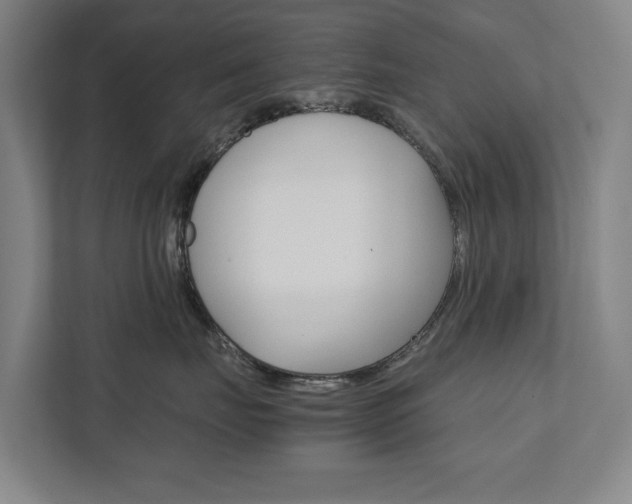 X0000111840671200907231040