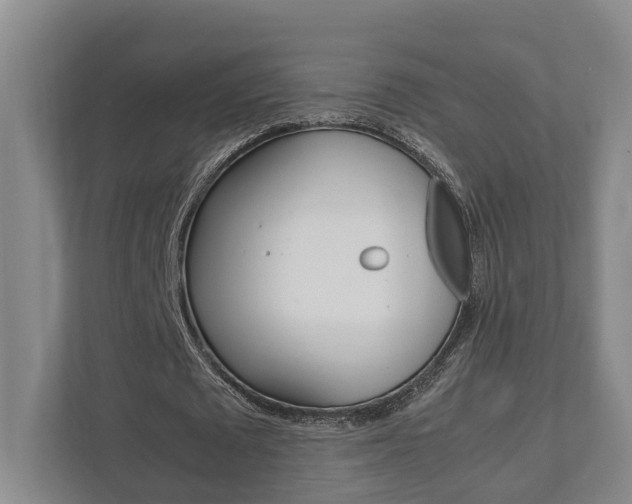 X0000111840673200907231040