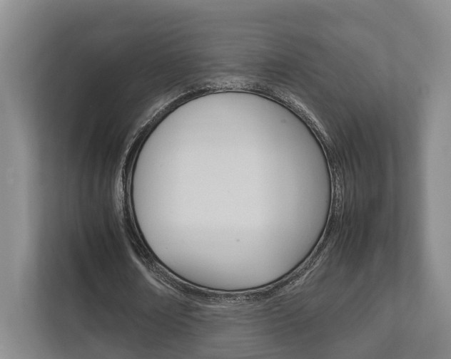 X0000111840674200907231040