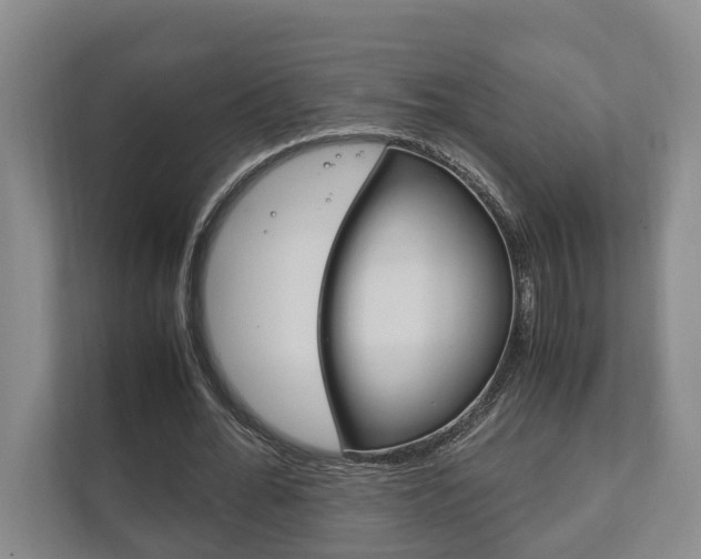 X0000111840676200907231040